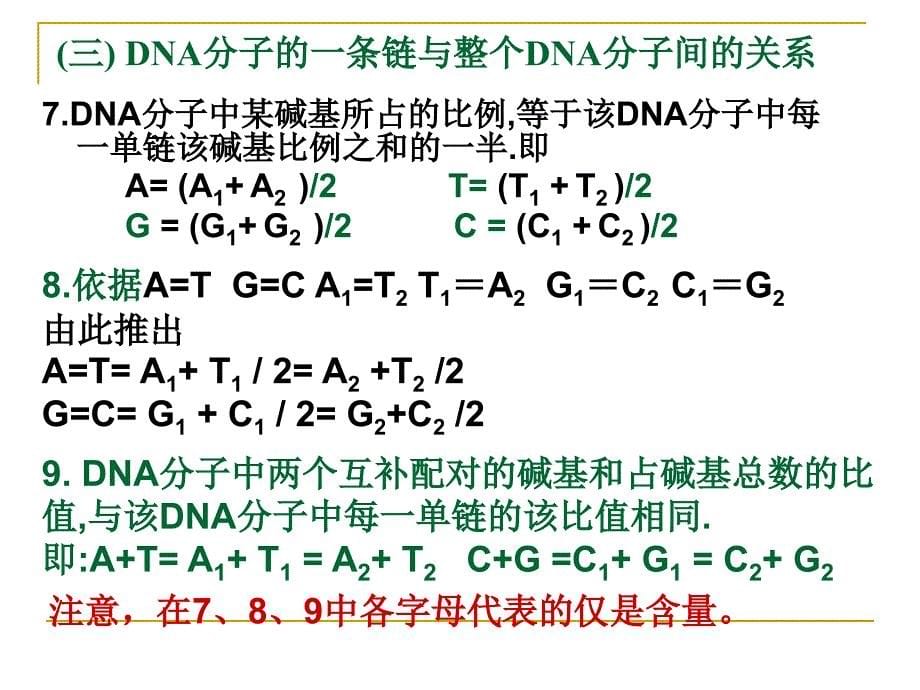 人教版教学课件DNA的结构和复制例题精选_第5页