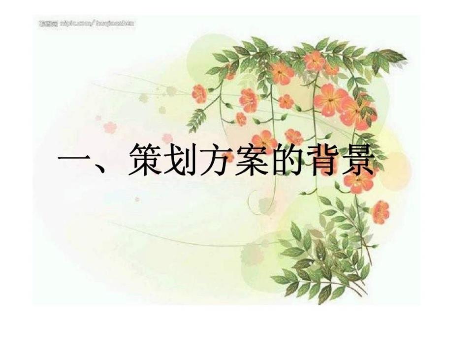 品牌营销策划方案_第3页