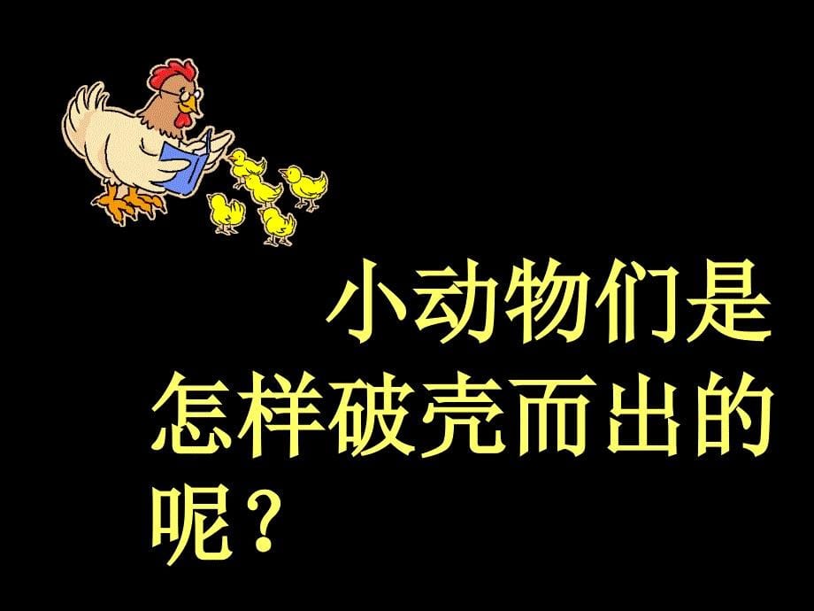 出壳了PPT文档资料_第5页