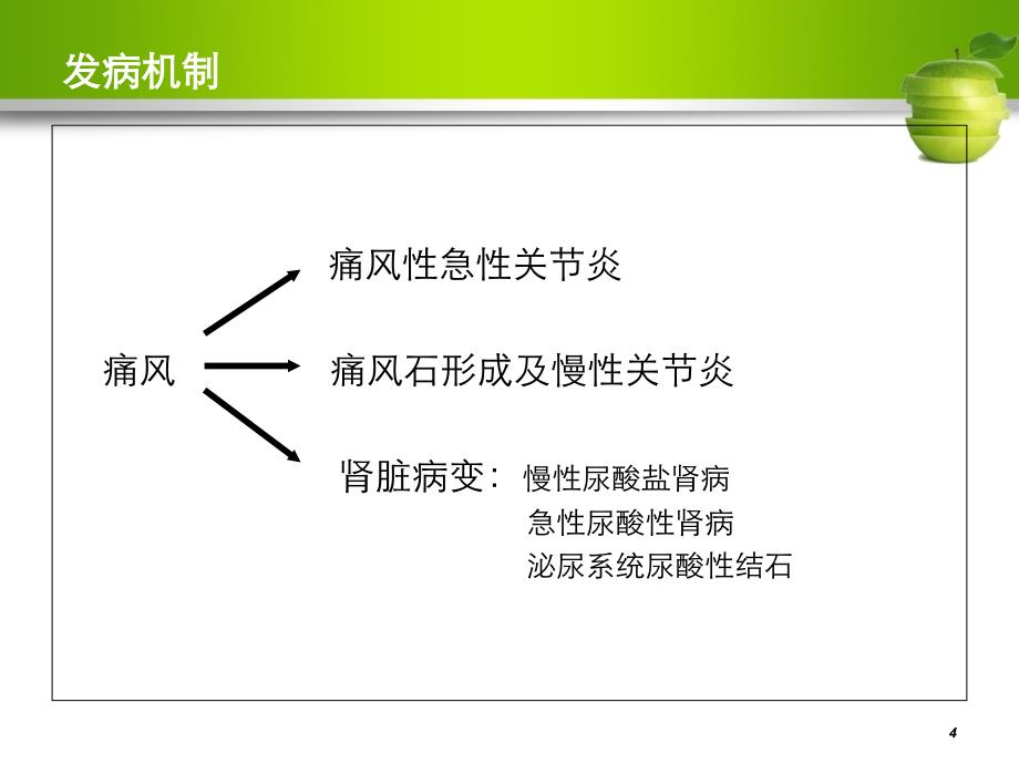 痛风的诊治及调护_第4页