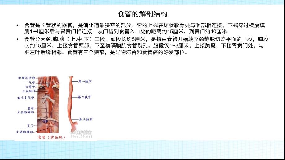 三切口食管癌根治术的配合_第2页