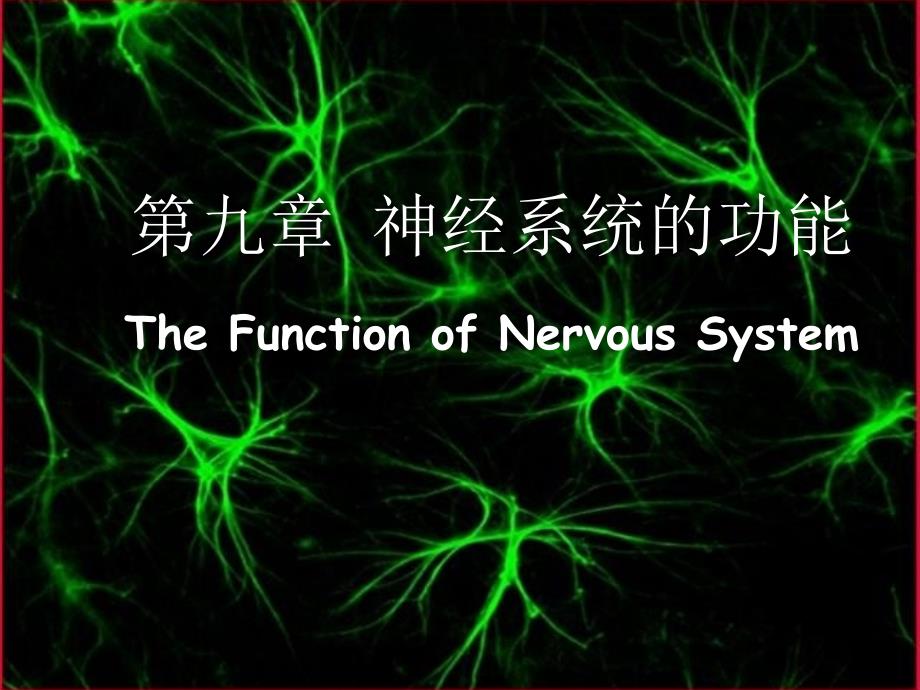 生理学：第九章 神经系统的功能_第1页