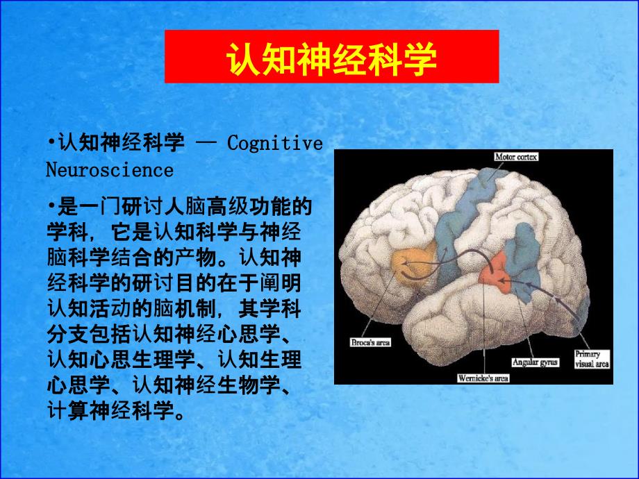 事件相关电位入门ppt课件_第2页