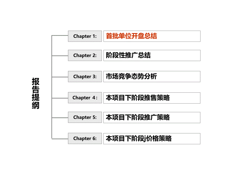 君汇新天第二批单位营销策略_第2页