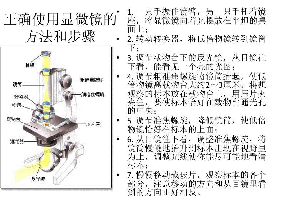 5用显微镜观察身边的生命世界一_第2页