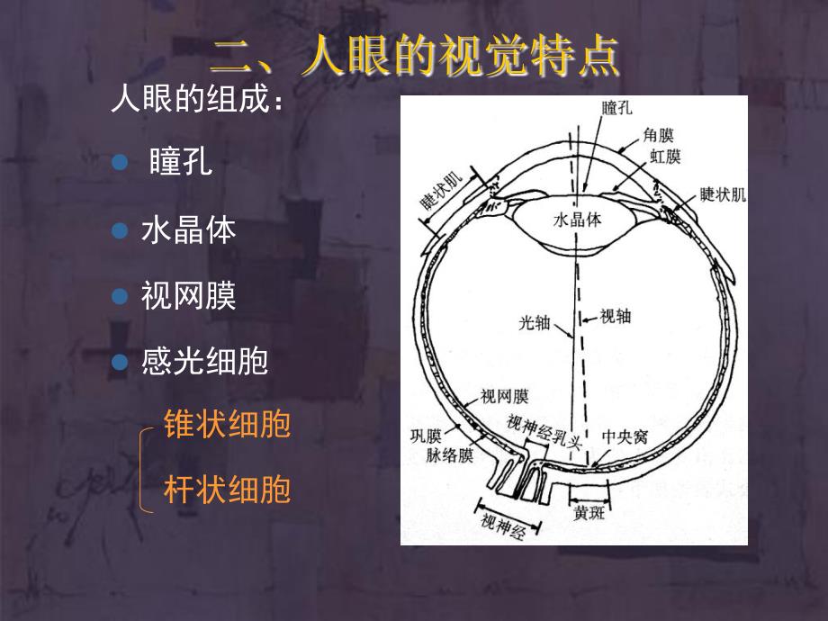 《光学基本知识》PPT课件.ppt_第4页