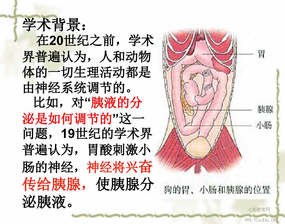 生物必修人教新课标2.2通过激素的调节课件概要_第4页