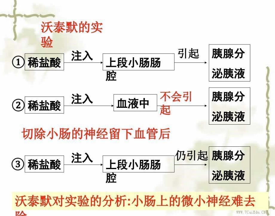 生物必修人教新课标2.2通过激素的调节课件概要_第5页