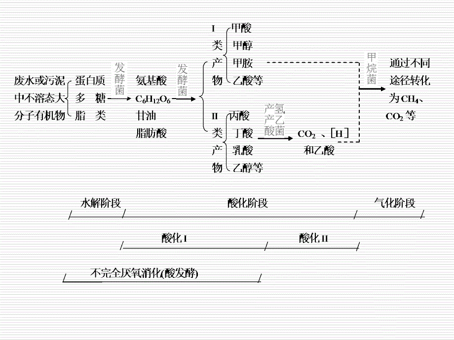 《厌氧发酵原理》PPT课件_第3页