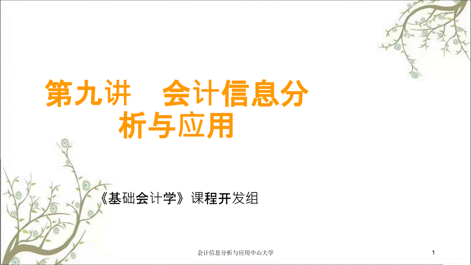 会计信息分析与应用中山大学课件_第1页