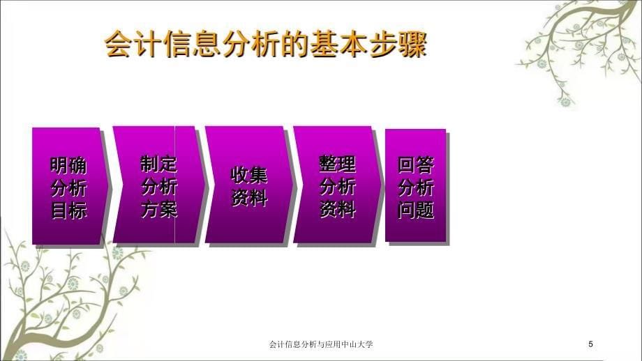 会计信息分析与应用中山大学课件_第5页