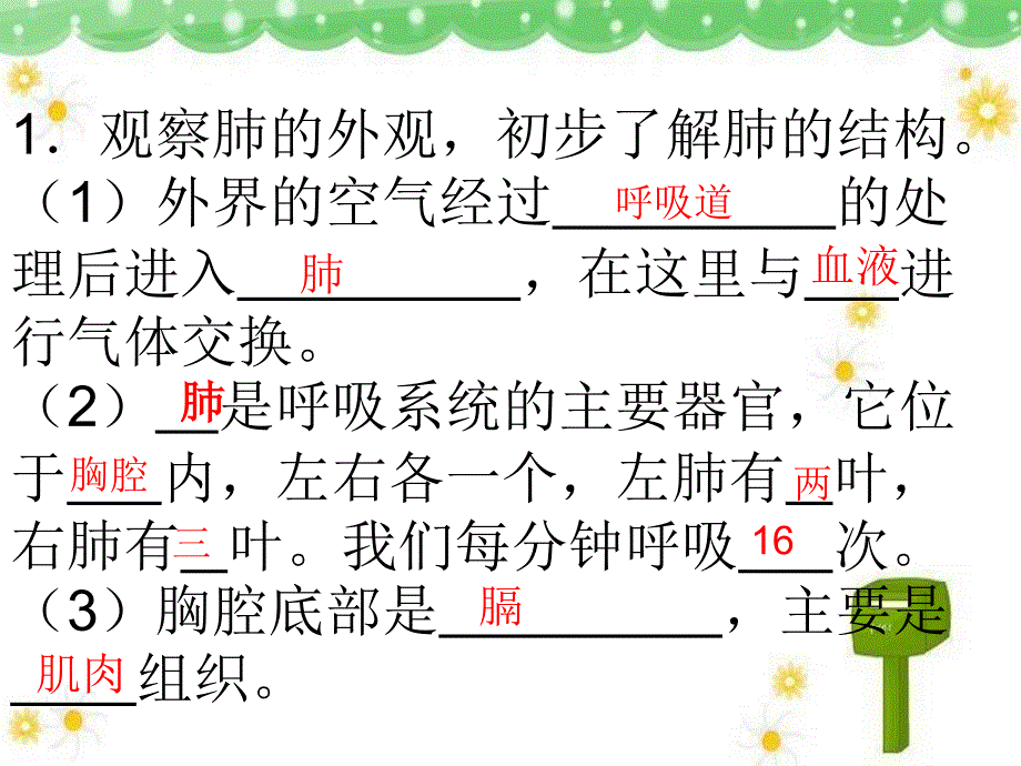 《发生在肺内的气体交换》课件（成）_第3页