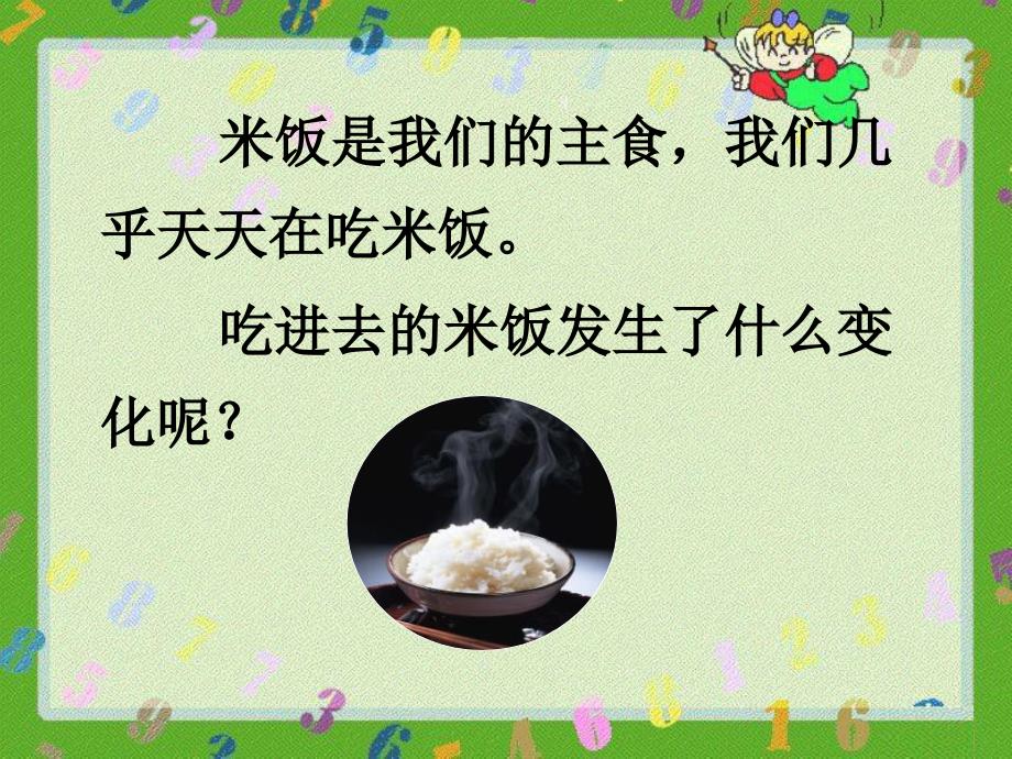 4米饭、淀粉和碘酒的变化_第2页