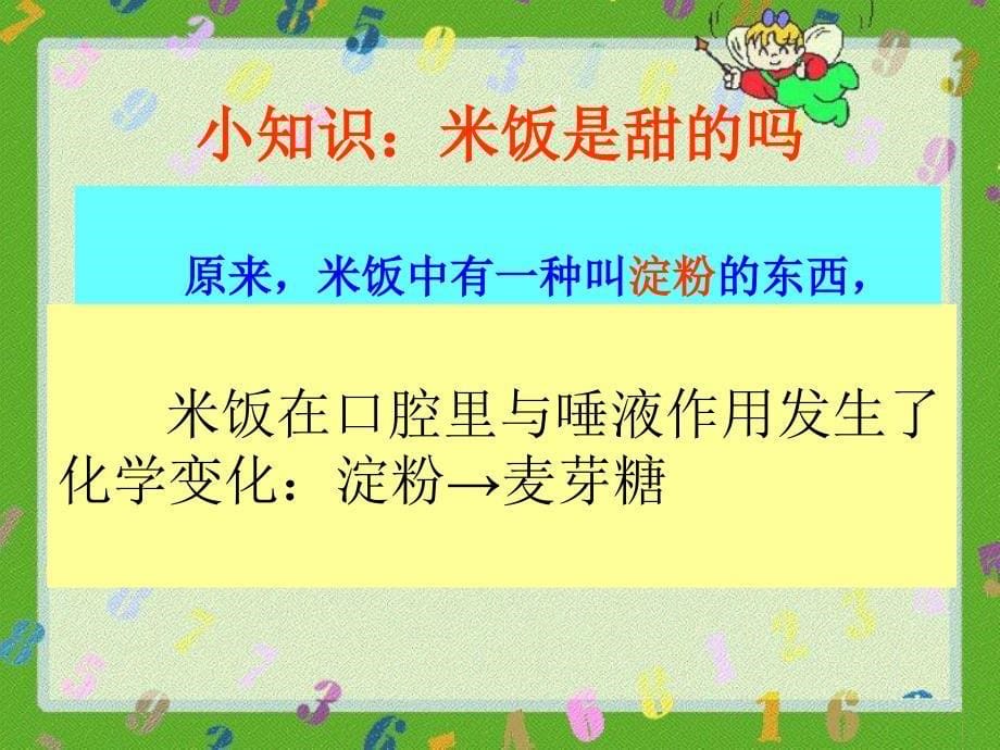 4米饭、淀粉和碘酒的变化_第5页