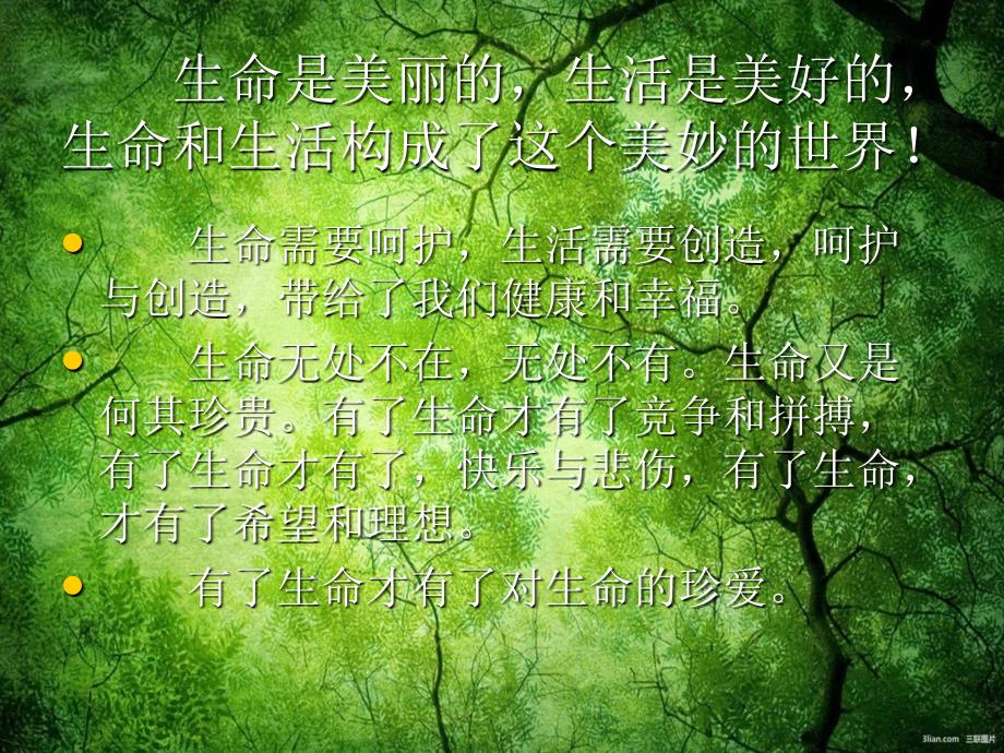 珍爱生命保护自我.ppt_第2页