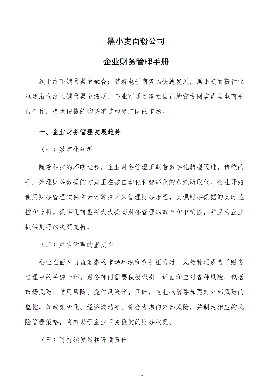 黑小麦面粉公司企业财务管理手册（模板）_第1页