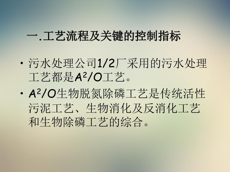 污水处理工艺培训资料课件_第2页