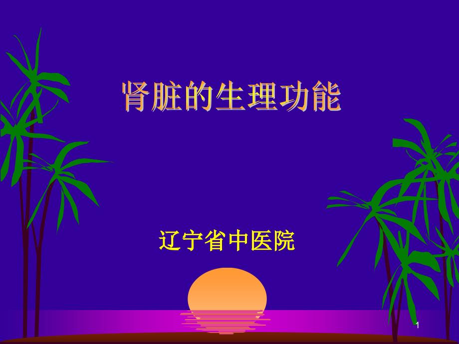 肾脏生理功能优秀课件_第1页