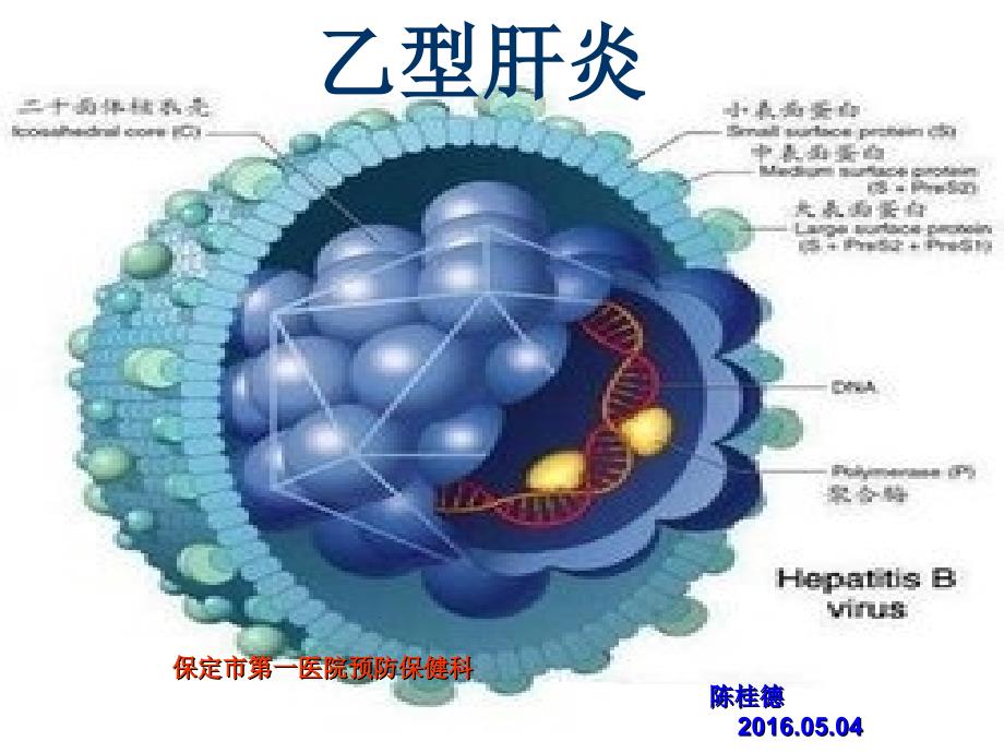 乙肝 ppt课件_第1页