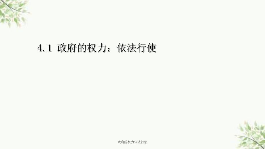 政府的权力依法行使课件_第1页