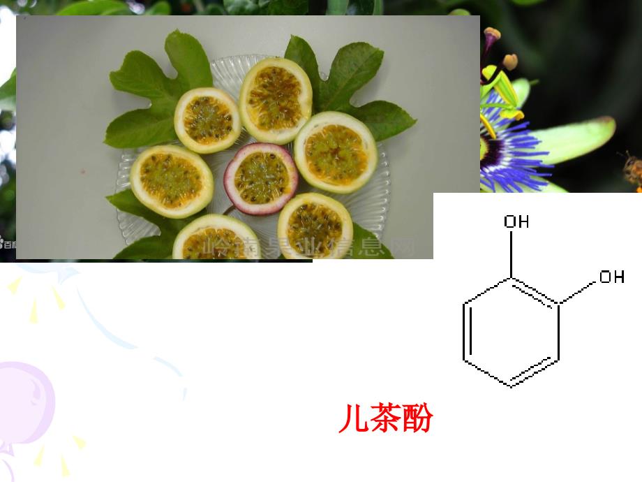 苏教化学选修有机化学基础专题4第二单元醇酚共39张PPT2_第4页