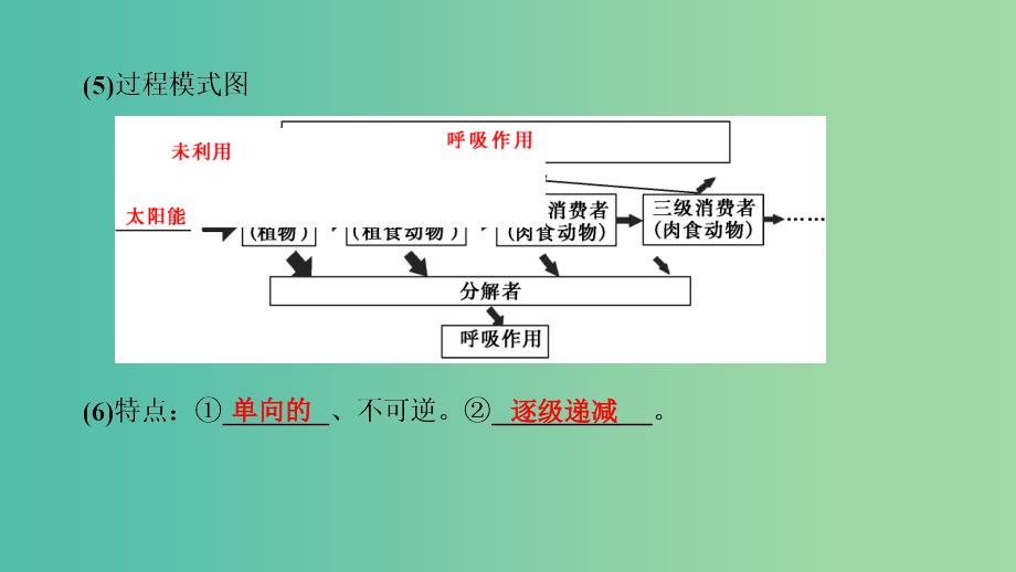 高中生物第6章生态系统第3节能量流动和物质循环课件浙科版.ppt_第4页