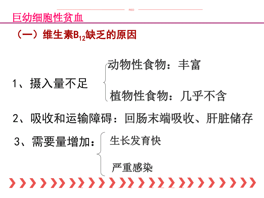 巨幼细胞性贫血课件_第4页