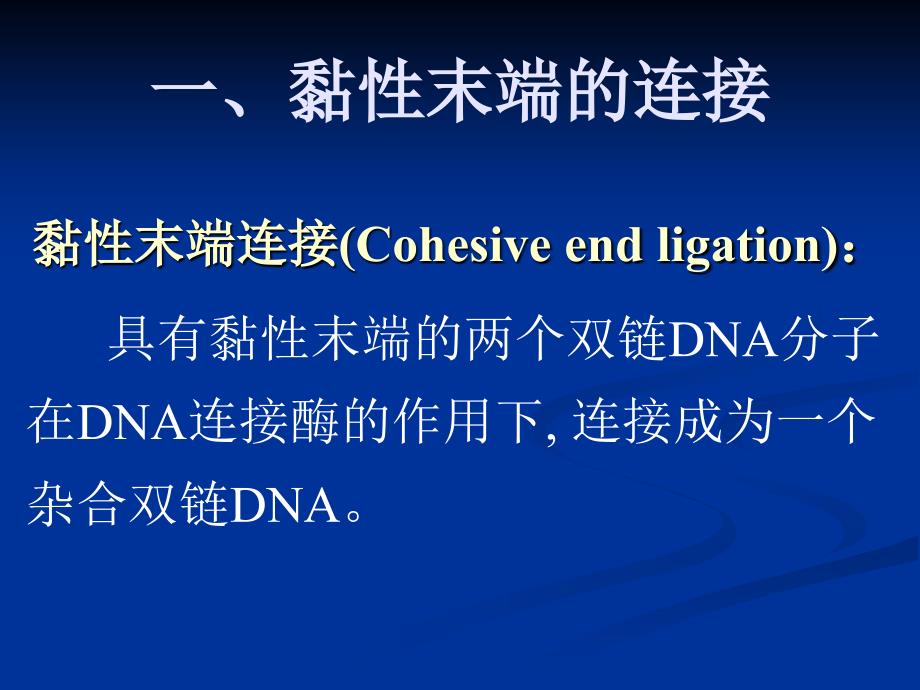 5基因的体外重组和转化_第4页