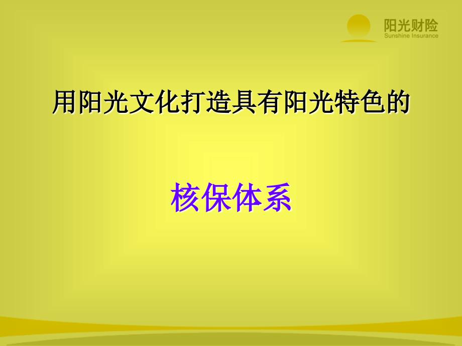 阳光财险核保体系建设_第1页