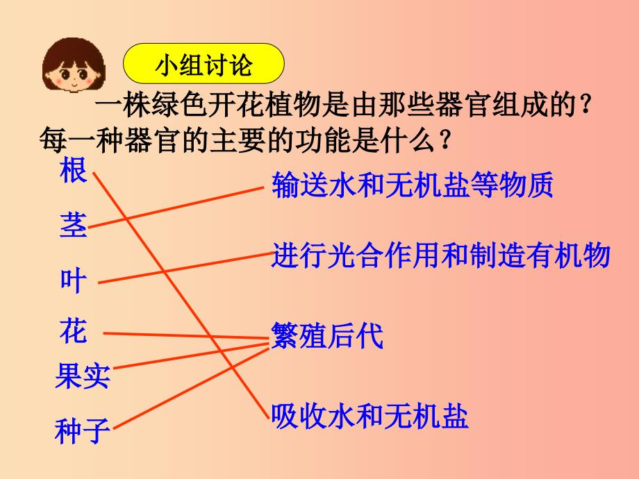 七年级生物上册第二单元第二章第三节植物体的结构层次课件 新人教版.ppt_第3页