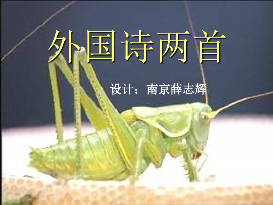 外国诗两首课件4九年级语文上册第一单元外国诗两首课件6套人教版_第1页