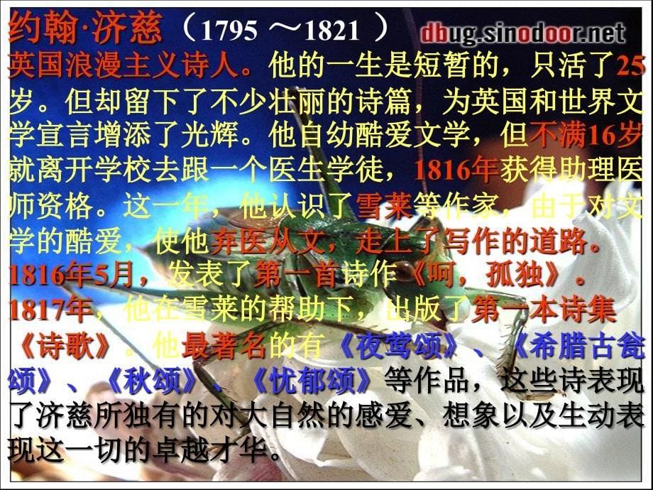 外国诗两首课件4九年级语文上册第一单元外国诗两首课件6套人教版_第5页