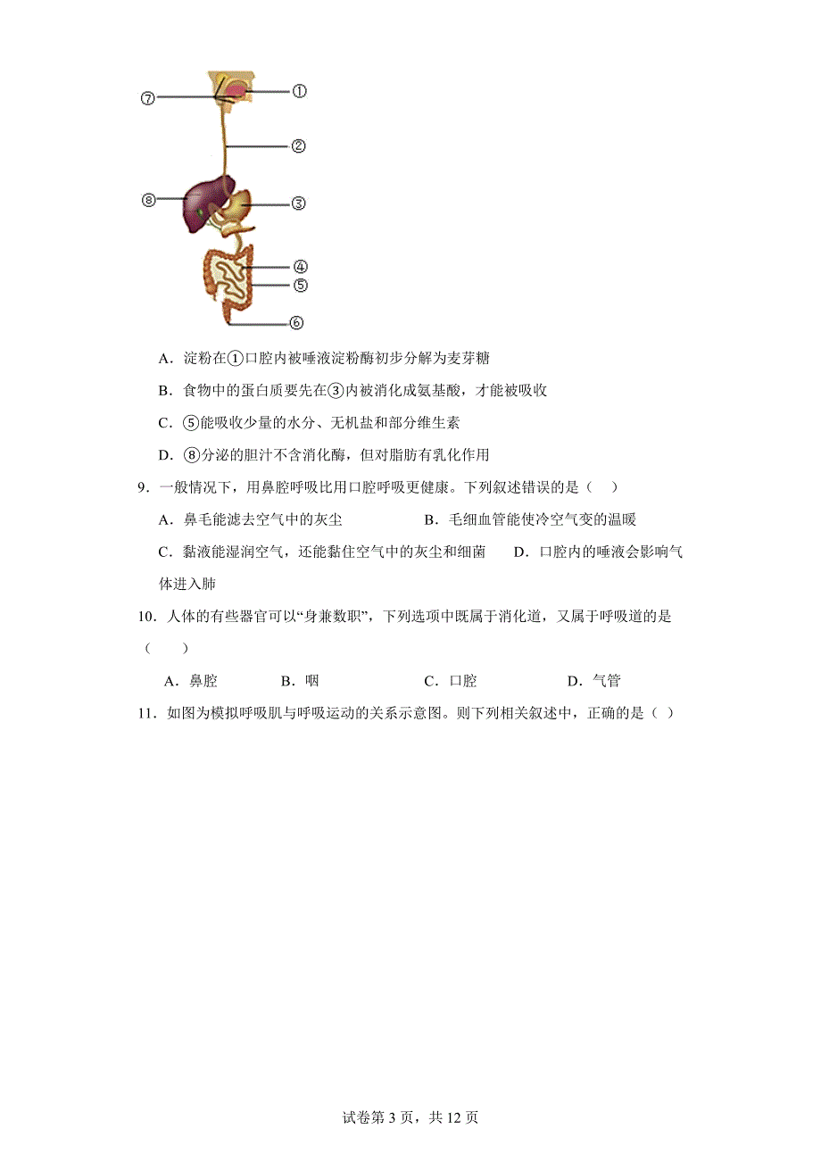 山东省临沂市兰山区2022-2023学年七年级下学期期末生物试题（含答案）_第3页