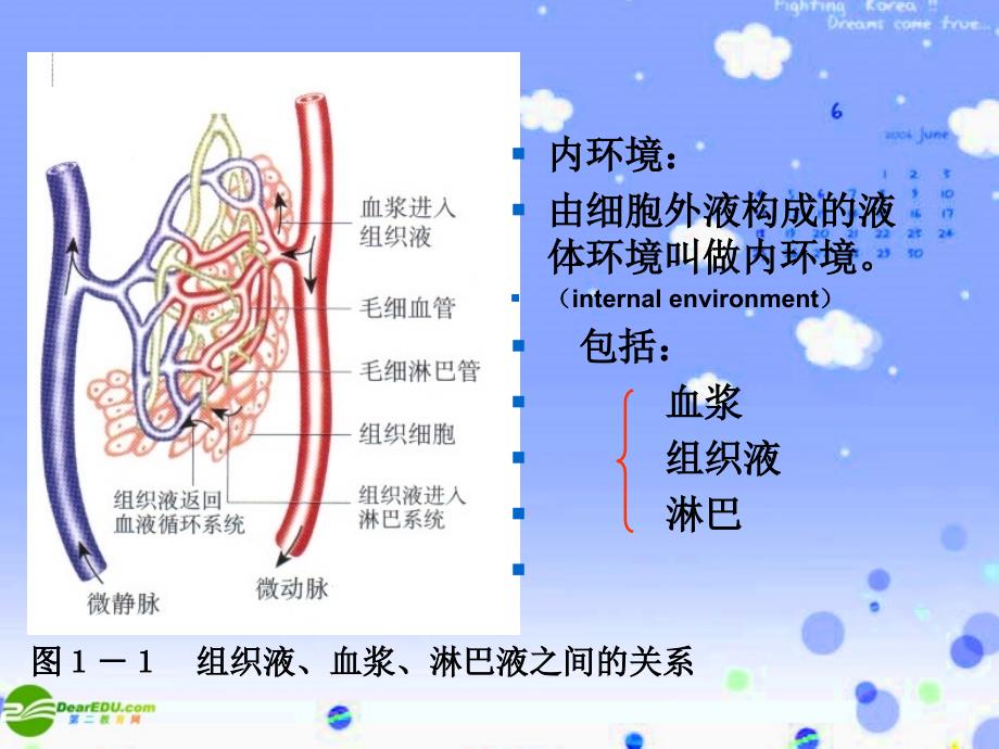 章人体的内环境与稳态_第4页