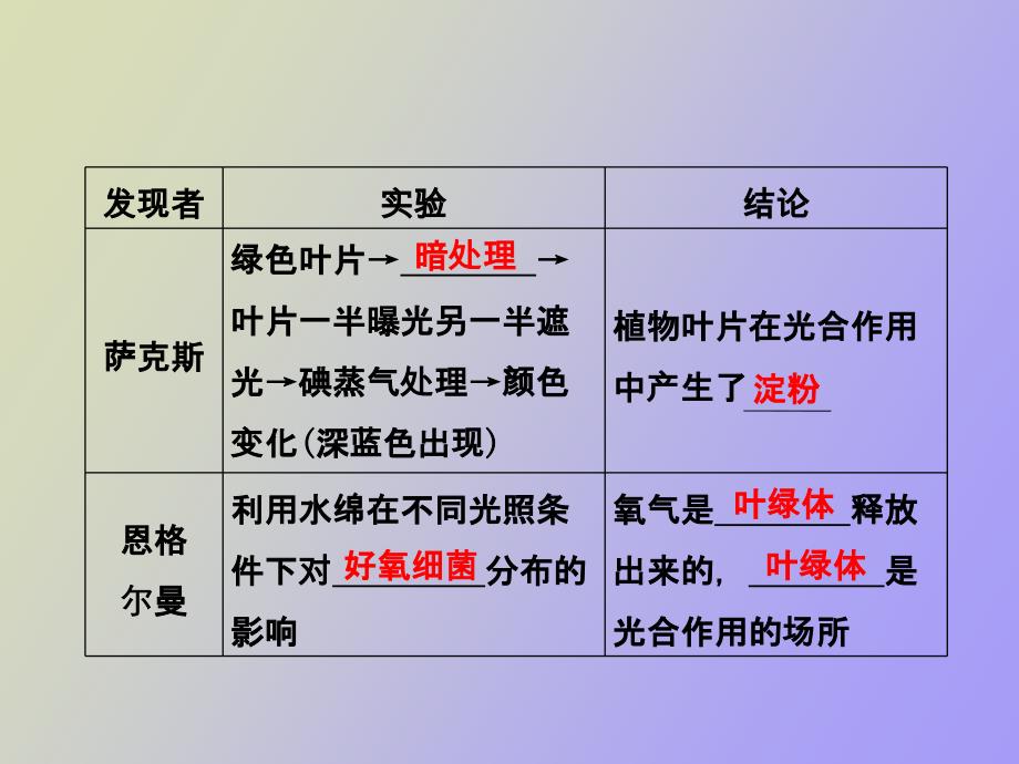 光合作用的原理和应用_第3页