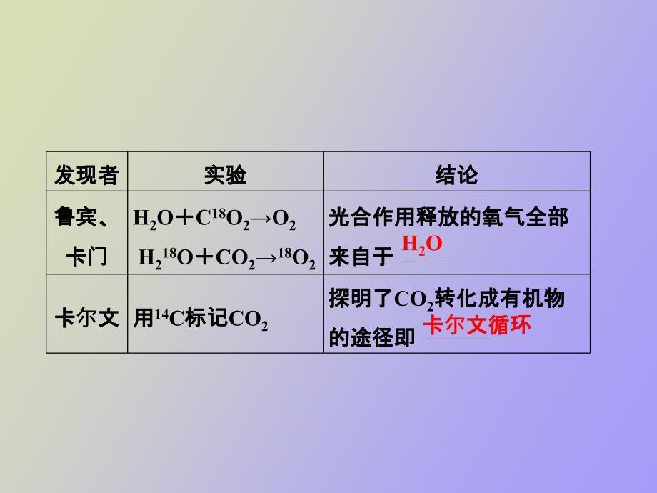 光合作用的原理和应用_第4页