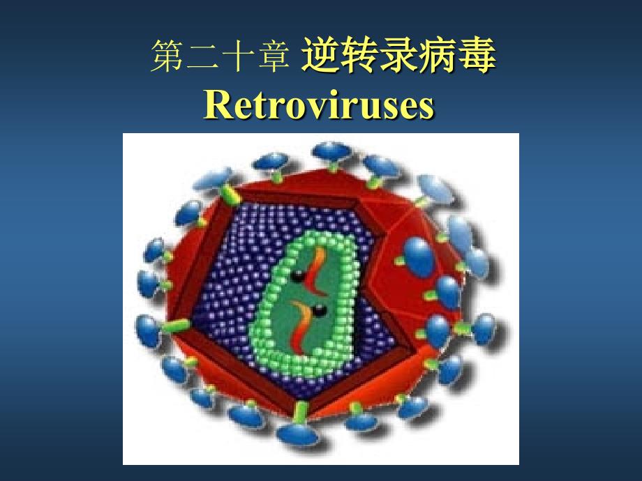 《医学微生物学》教学课件：第二十章 逆转录病毒_第1页