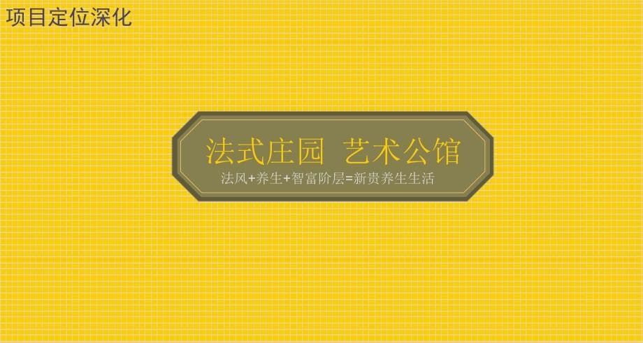 沈阳棋盘山项目市场营销定位初步报告_第5页