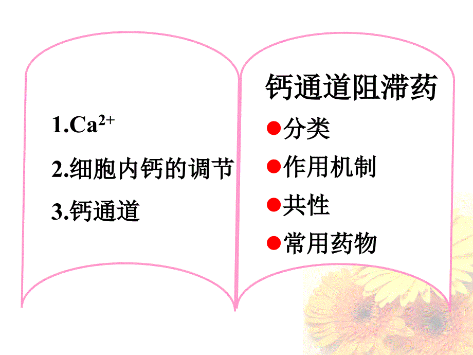 心血管系统药物课件_第4页