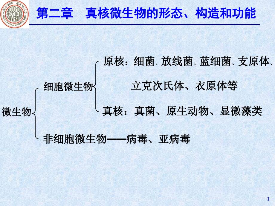 微生物学教学课件：5-酵母菌、霉菌、蕈菌_第1页