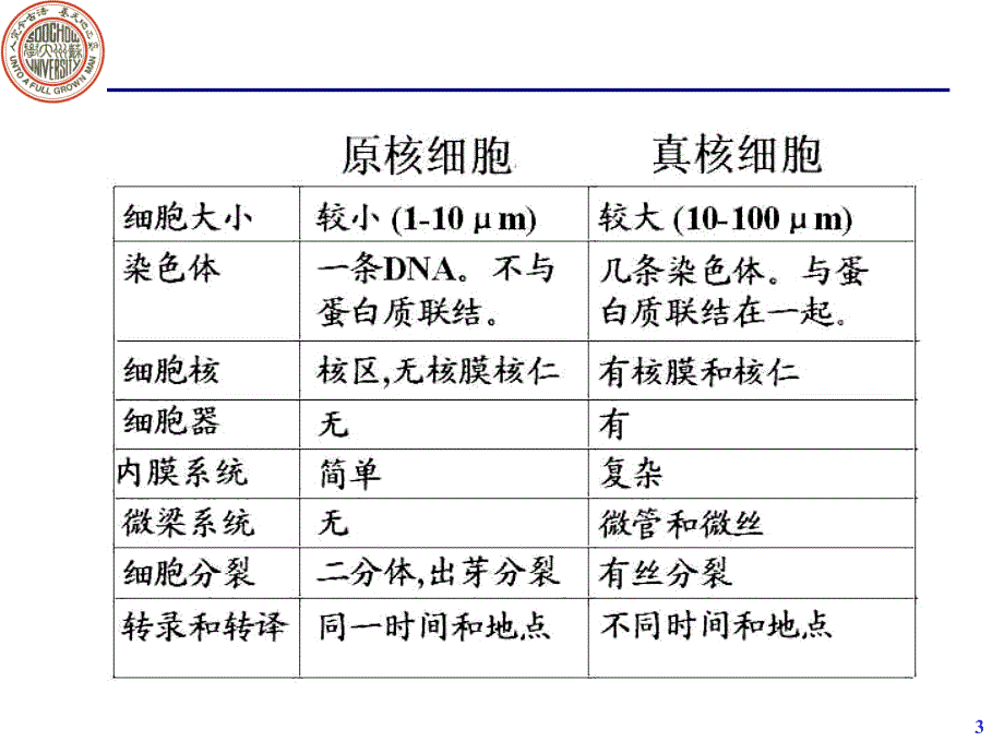 微生物学教学课件：5-酵母菌、霉菌、蕈菌_第3页