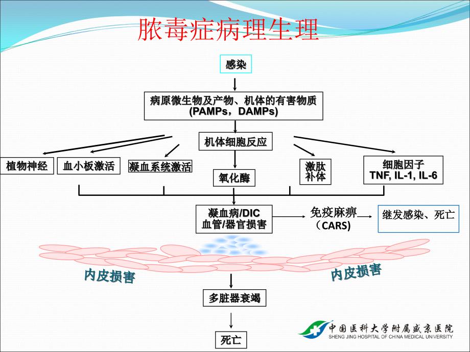 脓毒症与抗生素应用--刘春峰教授--抗感染课堂课件_第4页