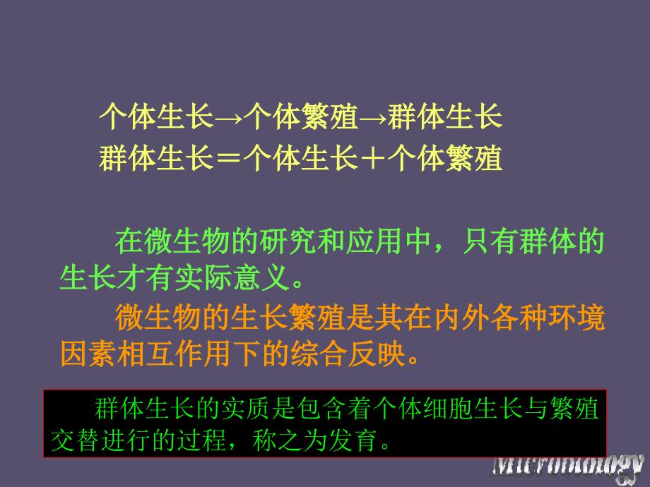 微生物的生长及控制课件_第3页