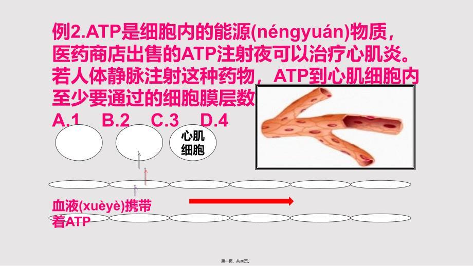 ATP的主要来源实用教案