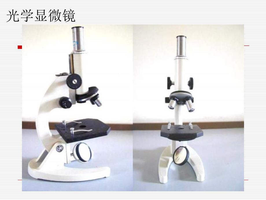 显微镜的结构及使用方法_第2页