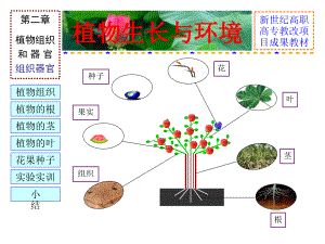 植物生长与环境 第二章 植物组织和器官 组织器官