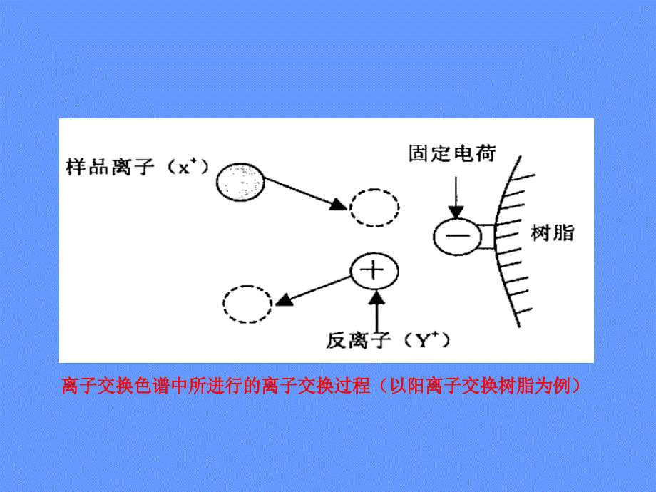 《离子交换层析》PPT课件_第3页