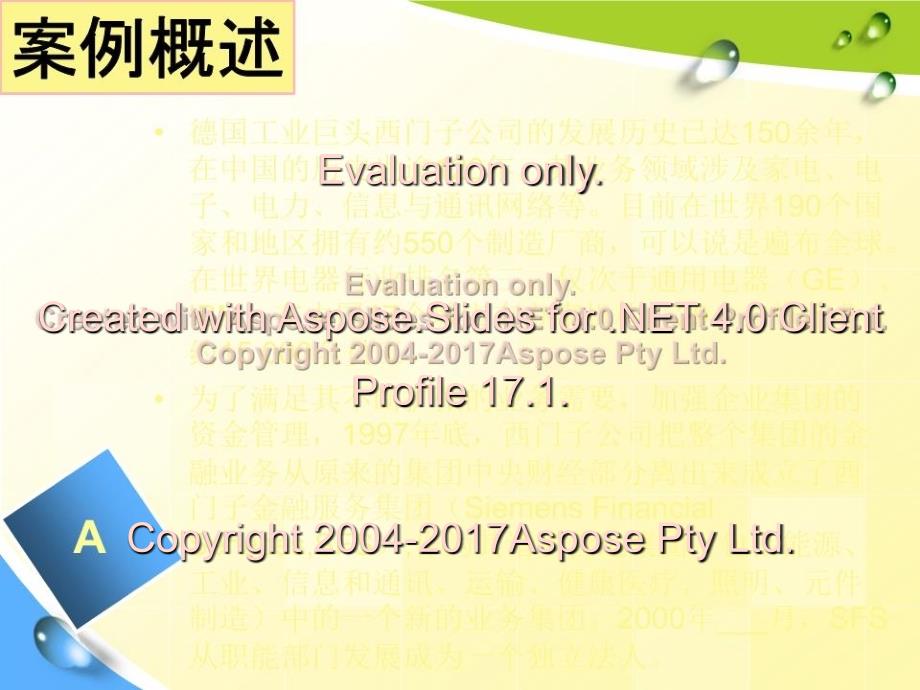 公司理财案例10-现金管理—西门子金融服务集团_第2页