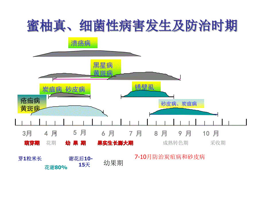 蜜柚病虫害综合防治技术_第3页