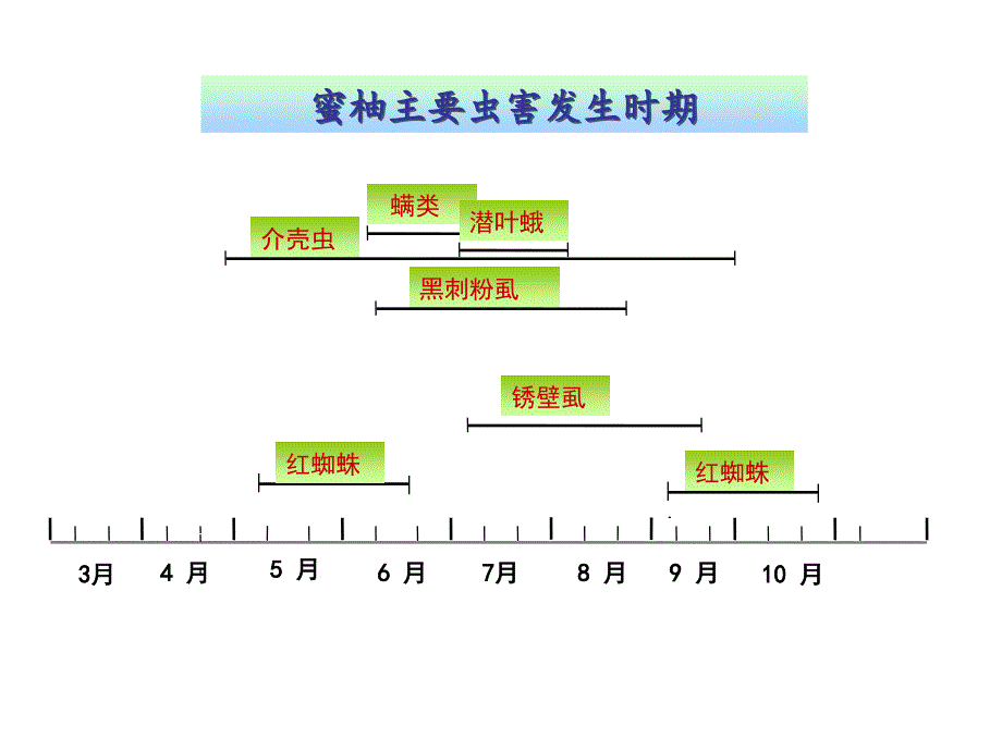 蜜柚病虫害综合防治技术_第4页